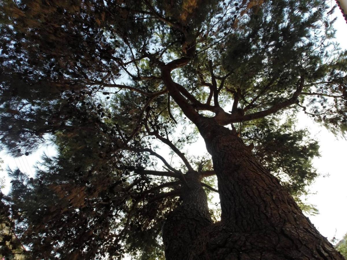 Alterra Vita Neos Marmaras Buitenkant foto